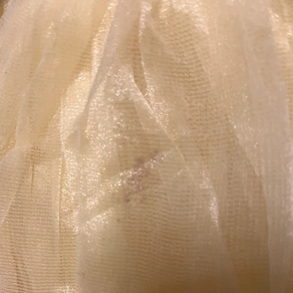 Disney beauty and the beast beast princess dress
